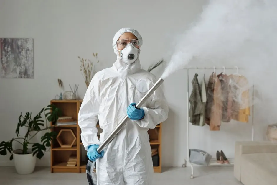 Reviving a Bedroom